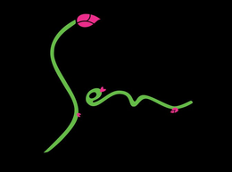 SEN trademark