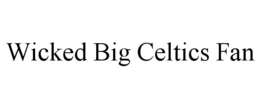 WICKED BIG CELTICS FAN trademark
