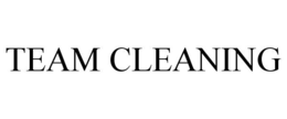 TEAM CLEANING trademark