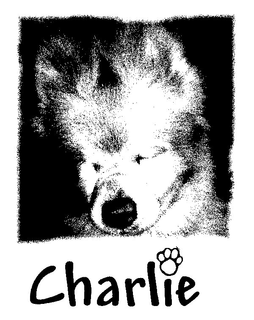CHARLIE trademark