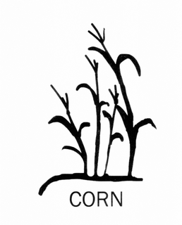 CORN trademark