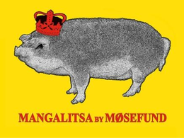MANGALITSA BY MOSEFUND trademark