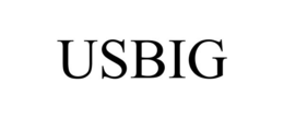 USBIG trademark