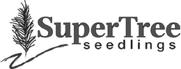 SUPERTREE SEEDLINGS trademark