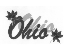 OHIO trademark