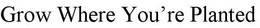 GROW WHERE YOU'RE PLANTED trademark
