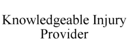 KNOWLEDGEABLE INJURY PROVIDER trademark