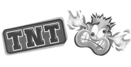TNT trademark