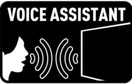 VOICE ASSISTANT trademark