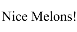 NICE MELONS! trademark