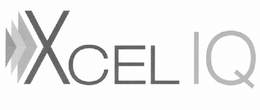 XCEL IQ trademark