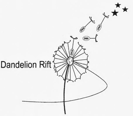 DANDELION RIFT DNA trademark