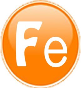 FE trademark