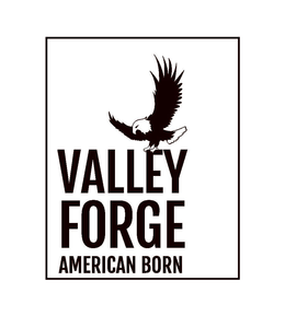 VALLEY FORGE AMERICAN BORN trademark