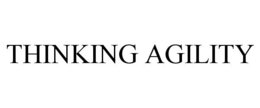 THINKING AGILITY trademark