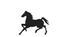 CAVALINHO trademark