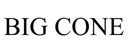 BIG CONE trademark