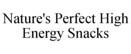NATURE'S PERFECT HIGH ENERGY SNACKS trademark
