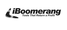 IBOOMERANG TOOLS THAT RETURN A PROFIT trademark