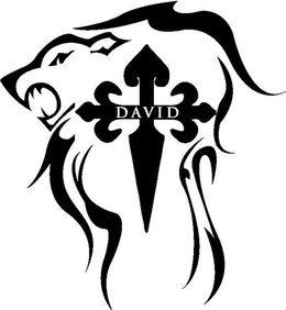 DAVID trademark
