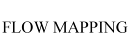 FLOW MAPPING trademark