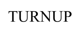 TURNUP trademark