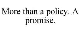 MORE THAN A POLICY. A PROMISE. trademark