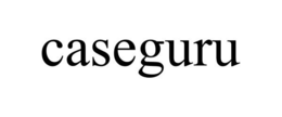 CASEGURU trademark