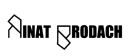 RINAT BRODACH trademark