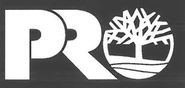 PRO trademark