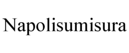 NAPOLISUMISURA trademark