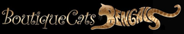 BOUTIQUECATS BENGALS trademark