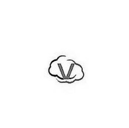 V trademark