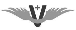 V+ trademark