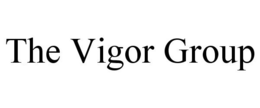 THE VIGOR GROUP trademark