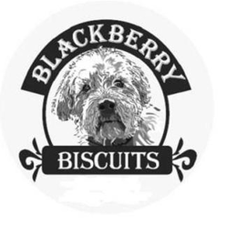 BLACKBERRY BISCUITS trademark