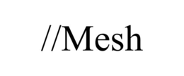 //MESH trademark