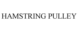 HAMSTRING PULLEY trademark