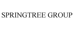 SPRINGTREE GROUP trademark
