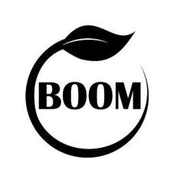 BOOM trademark