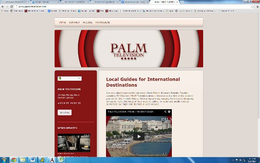 PALM TELEVISION trademark