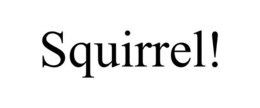 SQUIRREL! trademark