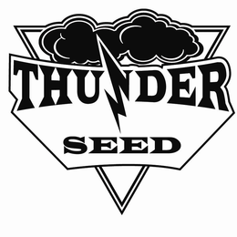 THUNDER SEED trademark