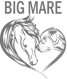 BIG MARE trademark