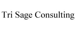 TRI SAGE CONSULTING trademark