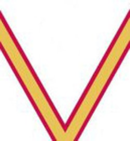 V trademark