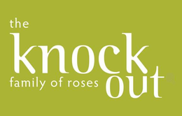 THE KNOCK OUT FAMILY OF ROSES trademark