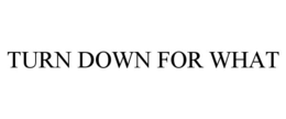 TURN DOWN FOR WHAT trademark