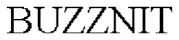 BUZZNIT trademark