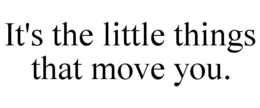 IT'S THE LITTLE THINGS THAT MOVE YOU. trademark